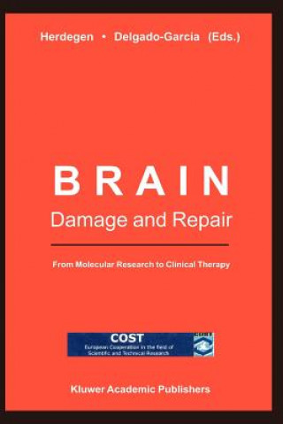 Brain Damage and Repair