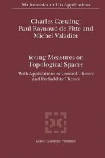 Young Measures on Topological Spaces