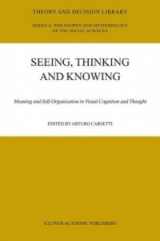 Seeing, Thinking and Knowing