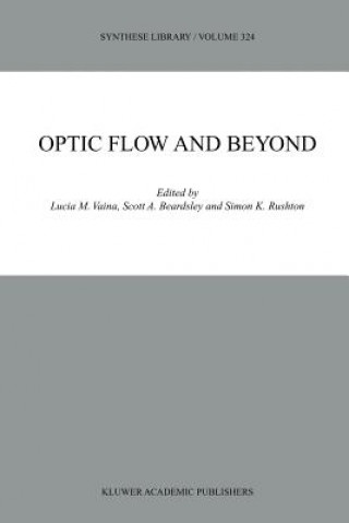 Optic Flow and Beyond