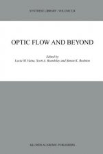 Optic Flow and Beyond