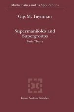 Supermanifolds and Supergroups