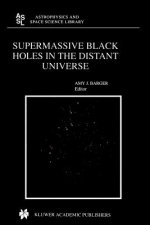 Supermassive Black Holes in the Distant Universe