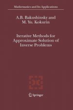 Iterative Methods for Approximate Solution of Inverse Problems