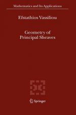 Geometry of Principal Sheaves