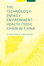 Technology-Energy-Environment-Health (TEEH) Chain In China