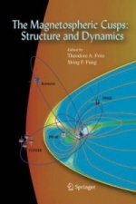 Magnetospheric Cusps: Structure and Dynamics