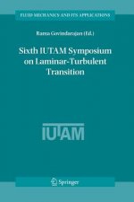 Sixth IUTAM Symposium on Laminar-Turbulent Transition