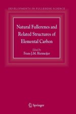 Natural Fullerenes and Related Structures of Elemental Carbon