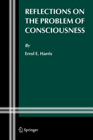 Reflections on the Problem of Consciousness