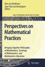 Perspectives on Mathematical Practices