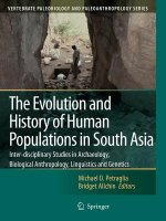 Evolution and History of Human Populations in South Asia