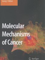 Molecular Mechanisms of Cancer