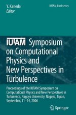 IUTAM Symposium on Computational Physics and New Perspectives in Turbulence
