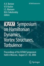 IUTAM Symposium on Hamiltonian Dynamics, Vortex Structures, Turbulence