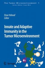 Innate and Adaptive Immunity in the Tumor Microenvironment