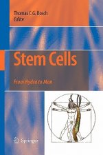 Stem Cells