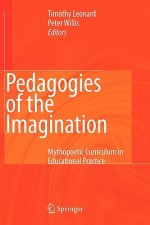 Pedagogies of the Imagination