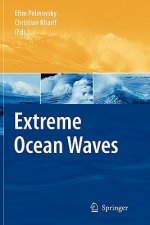 Extreme Ocean Waves