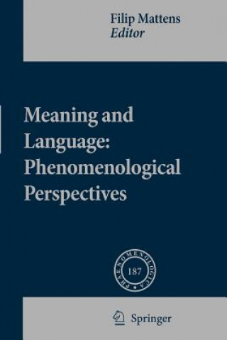 Meaning and Language: Phenomenological Perspectives
