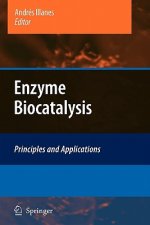 Enzyme Biocatalysis