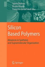 Silicon Based Polymers