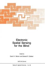 Electronic Spatial Sensing for the Blind