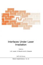 Interfaces Under Laser Irradiation
