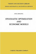 Stochastic Optimization and Economic Models