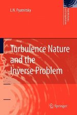 Turbulence Nature and the Inverse Problem