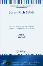 Boron Rich Solids