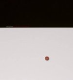 Vadim Gushchin: Everyday Objects / Cultural Treasures