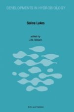 Saline Lakes