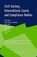 Civil Society, International Courts and Compliance Bodies