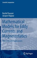 Mathematical Models for Eddy Currents and Magnetostatics