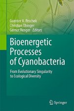 Bioenergetic Processes of Cyanobacteria
