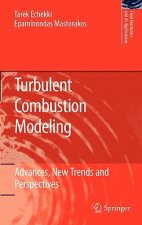 Turbulent Combustion Modeling