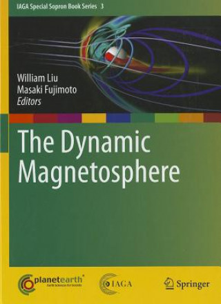 Dynamic Magnetosphere