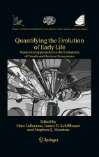 Quantifying the Evolution of Early Life