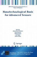 Nanotechnological Basis for Advanced Sensors