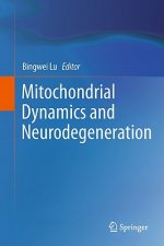 Mitochondrial Dynamics and Neurodegeneration