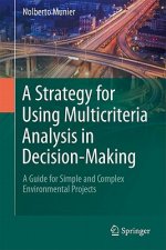 Strategy for Using Multicriteria Analysis in Decision-Making