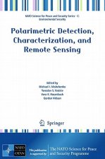 Polarimetric Detection, Characterization and Remote Sensing