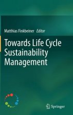 Towards Life Cycle Sustainability Management