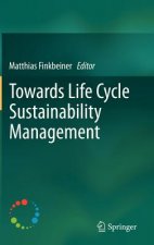 Towards Life Cycle Sustainability Management