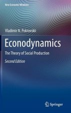 Econodynamics