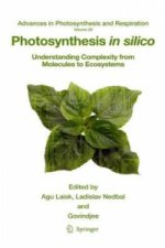 Photosynthesis in silico