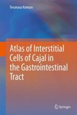 Atlas of Interstitial Cells of Cajal in the Gastrointestinal Tract