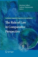 Rule of Law in Comparative Perspective