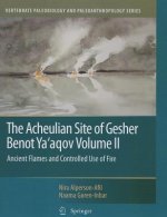 Acheulian Site of Gesher Benot Ya'aqov Volume II